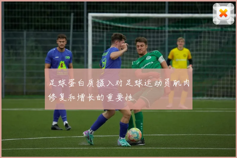 足球蛋白质摄入对足球运动员肌肉修复和增长的重要性