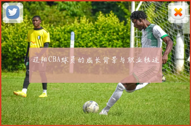 辽阳CBA球员的成长背景与职业轨迹