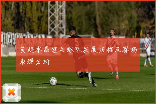 英超水晶宫足球队发展历程及赛场表现分析